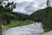 Lots of pretty creeks in Yellowstone